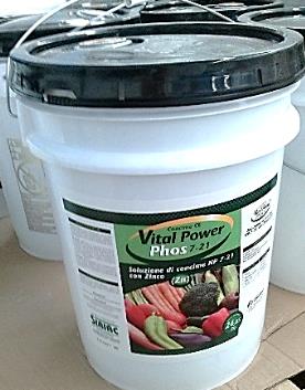 VITAL power phos 1/1 l
